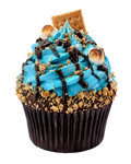 Blue Toasted S'mores Cupcake